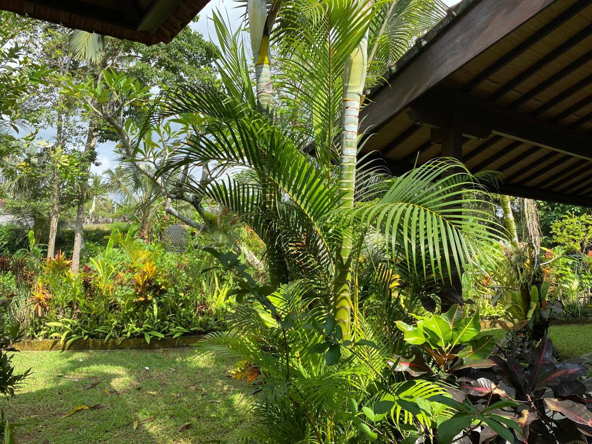 Villa Alam Surya Ubud ภายนอก รูปภาพ