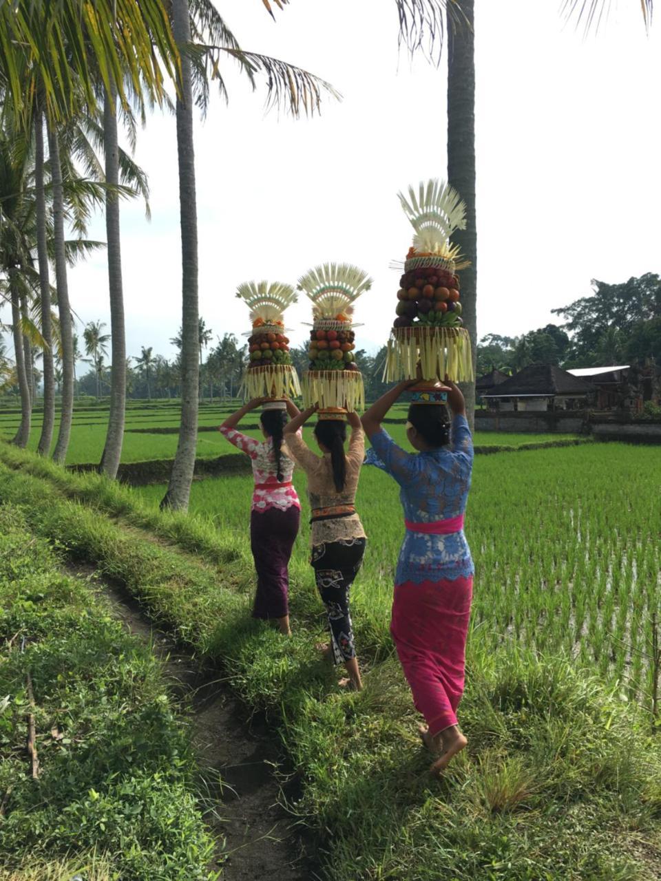 Villa Alam Surya Ubud ภายนอก รูปภาพ